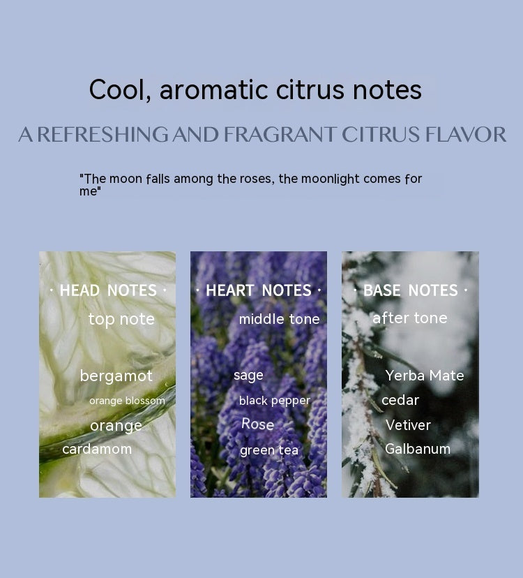 Aromatic Citrus Perfume Long-lasting Perfume